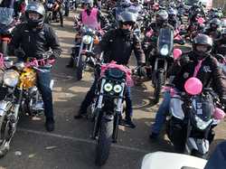 Illustration de la galerie