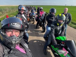 Illustration de la galerie